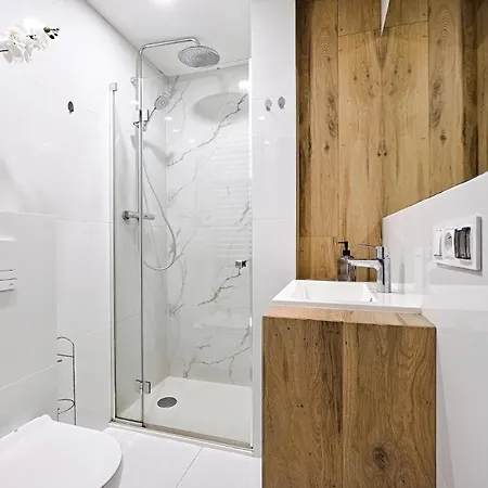 Citycenterapartments/M32/2A Bielsko-Biała Esterno foto